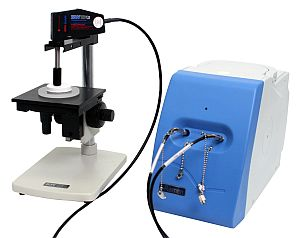 Content Dam Lfw Online Articles 2011 12 Bw Tek 122911