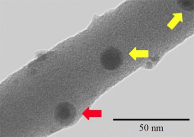 A scanning transmission electron micrograph shows a polystyrene nanowire containing iron oxide nanoparticles. The yellow arrows show the surface of the nanowire, and the red arrow shows iron oxide nanoparticles which exist in the interior of the nanowire.