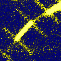 Light is shown scattering from a silicon nanowire running diagonally from bottom left to top right. The brighter areas are bare silicon while the dimmer sections are coated with gold, demonstrating how plasmonic cloaking reduces light scattering in the gold-coated sections.