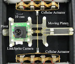 Photo shows the camera positioning system used by researchers Joshua Schultz and Jun Ueda from Georgia Tech's School of Mechanical Engineering. Photo shows the camera positioning system used by researchers Joshua Schultz and Jun Ueda from Georgia Tech's School of Mechanical Engineering.