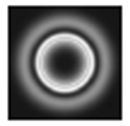 Content Dam Lfw Online Articles 2012 12 Hicore