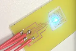 A GaN LED is coated with a “factory-roof” pattern modeled off the fireflies’ scales. The bio-inspired LED coating increased light extraction by up to 55%. A GaN LED is coated with a “factory-roof” pattern modeled off the fireflies’ scales. The bio-inspired LED coating increased light extraction by up to 55%.
