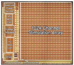 While the Argus II is a major breakthrough in retinal prosthetics, researchers are continuing their research. This third-generation retina chip, itself still very early in the development stage, contains 1000 electrodes and was developed by Wentai Liu, a professor of bioengineering at the UCLA Henry Samueli School of Engineering and Applied Science and his colleagues. Early engineering done by Liu and his team was licensed to Second Sight for the Argus II Retinal Prosthesis System. (Courtesy Wentai Liu, UCLA) While the Argus II is a major breakthrough in retinal prosthetics, researchers are continuing their research. This third-generation retina chip, itself still very early in the development stage, contains 1000 electrodes and was developed by Wentai Liu, a professor of bioengineering at the UCLA Henry Samueli School of Engineering and Applied Science and his colleagues. Early engineering done by Liu and his team was licensed to Second Sight for the Argus II Retinal Prosthesis System. (Courtesy Wentai Liu, UCLA)