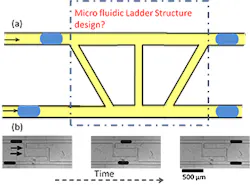 The Texas Tech grant will help Maddala commercialize software that helps to design microfluidic ladder networks to synchronize droplet pairs, for example. (Image credit: Texas Tech University) The Texas Tech grant will help Maddala commercialize software that helps to design microfluidic ladder networks to synchronize droplet pairs, for example. (Image credit: Texas Tech University)