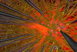 The basis of a high-sensitivity SERS sensor from ETH Zurich and LLNL is carbon nanotubes having curved tips. The numerous gaps let through the Raman scattered light. The basis of a high-sensitivity SERS sensor from ETH Zurich and LLNL is carbon nanotubes having curved tips. The numerous gaps let through the Raman scattered light.