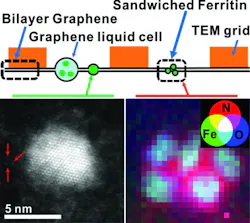 Sandwiching a biological molecule between sheets of graphene has allowed researchers at the University of Illinois at Chicago to obtain atomic-level images of the molecule in its natural watery environment. Sandwiching a biological molecule between sheets of graphene has allowed researchers at the University of Illinois at Chicago to obtain atomic-level images of the molecule in its natural watery environment.