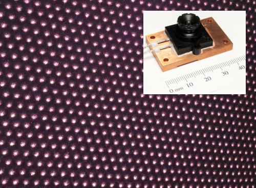 Content Dam Lfw Online Articles 2015 August Dots