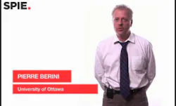 Surface-plasmon-based biosensor enables point-of-care detection of dengue fever virus Surface-plasmon-based biosensor enables point-of-care detection of dengue fever virus