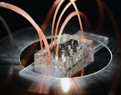 Microfluidic chip designed for isolating single cells for analysis under development at Walt Laboratory at Tufts. Microfluidic chip designed for isolating single cells for analysis under development at Walt Laboratory at Tufts.