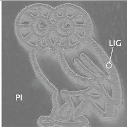 Content Dam Lfw Print Articles 2015 02 1502lfwnb Story3 Web 2 Content Dam Lfw Print Articles 2015 02 1502lfwnb Story3 Web 2