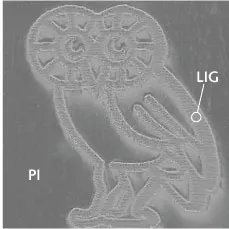 Content Dam Lfw Print Articles 2015 02 1502lfwnb Story3 Web 2 Content Dam Lfw Print Articles 2015 02 1502lfwnb Story3 Web 2
