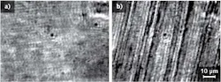 Microscope images show the diluted cobalt-nanoparticle-based ferrofluid before (a) and after (b) applying an external magnetic field; the fluid separates into cobalt-rich and cobalt-poor phases creating self-assembled stripes oriented along the direction of the magnetic field. Microscope images show the diluted cobalt-nanoparticle-based ferrofluid before (a) and after (b) applying an external magnetic field; the fluid separates into cobalt-rich and cobalt-poor phases creating self-assembled stripes oriented along the direction of the magnetic field.