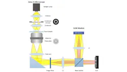 Opticalimaging 2 Web Opticalimaging 2 Web