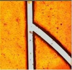 Pennwell web 150 145 Pennwell web 150 145