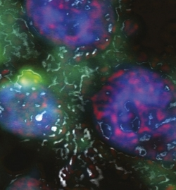 Pennwell web 250 269