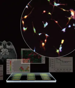 Pennwell web 250 292 Pennwell web 250 292