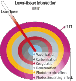 Pennwell web 300 323 Pennwell web 300 323