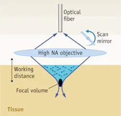 FIGURE 1. A single-axis confocal architecture uses a high-NA objective to excite and collect light from tissue. FIGURE 1. A single-axis confocal architecture uses a high-NA objective to excite and collect light from tissue.