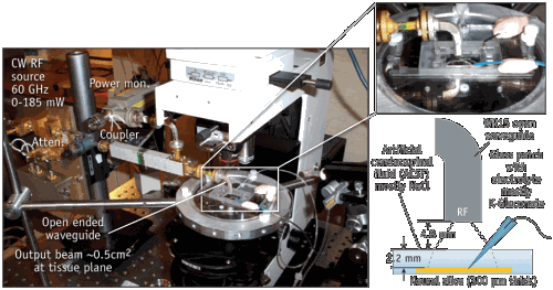 FIGURE 1. The patch clamp measurement setup, with closeup showing waveguide and tissue chamber (upper right) and schematic showing probe geometry and distances used for calculating the beam profile and power distribution at the tissue slice (lower right).