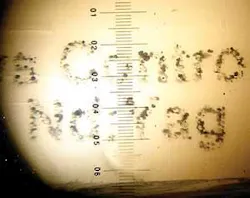 Th 0505ils Markingf1 Th 0505ils Markingf1