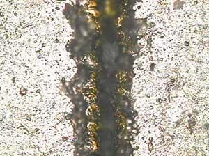 FIGURE 1a. Customer cut.