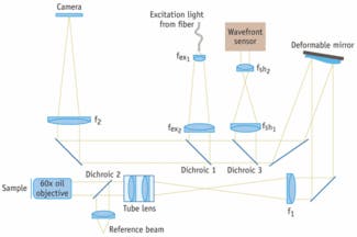 FIGURE 1. In the adaptive-optics microscope used at UCSF, the focal plane of a high-resolution microscope is re-imaged onto a CCD camera with the deformable mirror inserted at a position conjugate to the back focal plane of the objective.