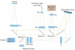 FIGURE 1. In the adaptive-optics microscope used at UCSF, the focal plane of a high-resolution microscope is re-imaged onto a CCD camera with the deformable mirror inserted at a position conjugate to the back focal plane of the objective. FIGURE 1. In the adaptive-optics microscope used at UCSF, the focal plane of a high-resolution microscope is re-imaged onto a CCD camera with the deformable mirror inserted at a position conjugate to the back focal plane of the objective.