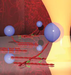 Th 0809bow News01 Th 0809bow News01