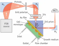 Th 0809bow Spr01 Th 0809bow Spr01