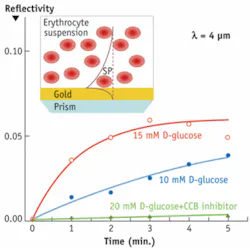 Th 0809bow Spr03 Th 0809bow Spr03