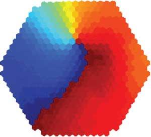FIGURE 1. Tangential slices of rat occipital cortex, stained with NK3630 dye, change color (absorption) as the transmembrane potential of the neurons varies. Imaging was performed by a 464-element photodiode array at a rate of 1600 frames /s. The oscillations (4&ndash;12 Hz) were induced by perfusing slices with 100 mM carbachol and 10 mM bicuculline. The optical signal on each optical detector is a summation of depolarization/hyperpolarization of about 1000 neurons. The optical signal of the oscillations was about 0.01% of the resting light intensity. The signal on each detector is normalized to its own max-min and assigned to a color according to a linear color scale. The oscillations were organized spatially as propagating waves. Wave patterns shown in the movies were formed spontaneously.