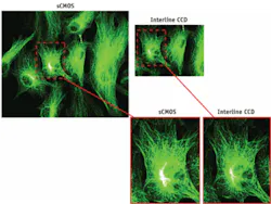 Scientific CMOS (sCMOS) requires no tradeoff between high resolution and a large field of view, and thus competes favorably with current standard technologies for demanding scientific applications. Scientific CMOS (sCMOS) requires no tradeoff between high resolution and a large field of view, and thus competes favorably with current standard technologies for demanding scientific applications.