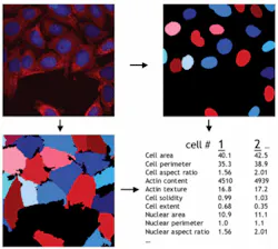 FIGURE 2. CellProfiler provides an open-source approach to capturing and analyzing data from images. FIGURE 2. CellProfiler provides an open-source approach to capturing and analyzing data from images.