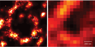 FIGURE 1. Microtubuli in Cos7 cells, stained with Alexa647, are imaged by photoactivated localization microscopy (PALM; left) and total internal reflection fluorescence (TIRF) microscopy (right).