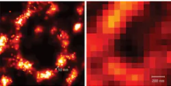 FIGURE 1. Microtubuli in Cos7 cells, stained with Alexa647, are imaged by photoactivated localization microscopy (PALM; left) and total internal reflection fluorescence (TIRF) microscopy (right). FIGURE 1. Microtubuli in Cos7 cells, stained with Alexa647, are imaged by photoactivated localization microscopy (PALM; left) and total internal reflection fluorescence (TIRF) microscopy (right).