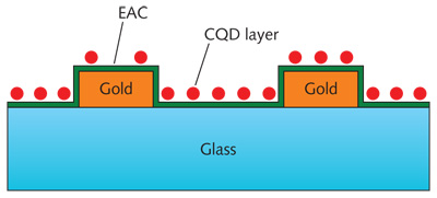 FIGURE 1. A tunable colloidal quantum-dot photo field-effect transistor includes gold electrodes on glass, a layer of aluminum-doped zinc oxide (AZO) serving as an electron-accepting channel (EAC), and a submonolayer of colloidal quantum dots (CQDs). Incident light causes dissociation of electrons at the AZO/CQD interface, which are harvested by applying a voltage across the electrodes.