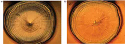 FIGURE 3. a) A standard 10 ms square pulse and b) a 10 ms Eglise pulse shape with 8 ms tail are shown. The lack of frozen-in concentric ripples and reduced piping in the center of the single-shot spot weld shown in (b) suggest more damping during the solidification process. FIGURE 3. a) A standard 10 ms square pulse and b) a 10 ms Eglise pulse shape with 8 ms tail are shown. The lack of frozen-in concentric ripples and reduced piping in the center of the single-shot spot weld shown in (b) suggest more damping during the solidification process.