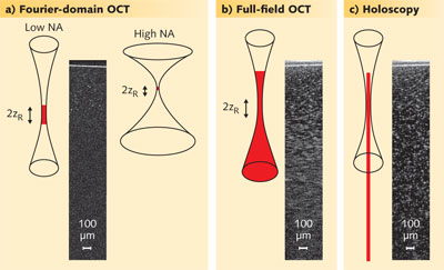 FIGURE 1. A test object with scattering nanoparticles was used to compare the depth of field (DOF) and lateral resolution of optical coherence tomography (OCT), optical coherence microscopy (OCM), swept-source full-field OCT, and holoscopy. The DOF and lateral resolution are schematically shown (red) in relation to the corresponding Gaussian beam waist.
