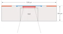 FIGURE 2. A schematic shows a VLoK photon-counting APD. FIGURE 2. A schematic shows a VLoK photon-counting APD.