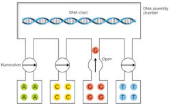FIGURE 3. A nanoscale fluidic system might assemble DNA chains by opening and shutting valves to add one base at a time. In this schematic, a nanovalve has just let a G base into the DNA assembly chamber, where it will bond to the DNA chain. FIGURE 3. A nanoscale fluidic system might assemble DNA chains by opening and shutting valves to add one base at a time. In this schematic, a nanovalve has just let a G base into the DNA assembly chamber, where it will bond to the DNA chain.