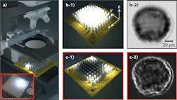 1212lfw01f1 1212lfw01f1