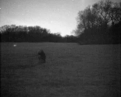 1308lfw3 Fig4 Web 1308lfw3 Fig4 Web