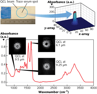 Spectroscopic image detection of proteins in human serum on a calcium fluoride (CaF2) slide shows the almost invisible serum protein spot on the slide and the outline of the illuminating QCL laser beam (upper left), absorbance of the serum spot at 6.1 &mu;m in three dimensions corresponding to the dark serum protein spot (upper right), and the FTIR spectrum recorded on the human serum and background-subtracted mid-infrared images of the serum spot (lower graph) taken by the camera under three-QCL illumination at 9.5 &mu;m (1052 cm-1), 9.25 &mu;m (1081 cm-1), and 6.1 &mu;m (1639 cm-1).
