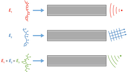 FIGURE 1. In proximal spatial light modulation (PSLM) endoscopy, with the appropriate input field the distal output field can be focused and steered within the field of view (FOV) without the need for additional microoptics or micromechanics.