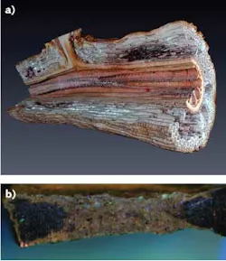 Data from multiple laser ablation tomography (LAT) sections of corn root is rendered into a three-dimensional cutaway revealing the interior features of the root (a). Similarly, a section of Marcellus shale is prepared using LAT (b) using an illumination source that produces autofluorescence of various minerals within the shale. Data from multiple laser ablation tomography (LAT) sections of corn root is rendered into a three-dimensional cutaway revealing the interior features of the root (a). Similarly, a section of Marcellus shale is prepared using LAT (b) using an illumination source that produces autofluorescence of various minerals within the shale.