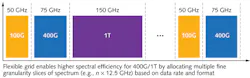FIGURE 1. A flexible grid allows mixed channel spacing. FIGURE 1. A flexible grid allows mixed channel spacing.