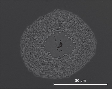 FIGURE 1. A scanning electron microscope image shows a damage site on a highly reflective multilayer coating that was subject to multiple 500 fs irradiations at 1030 nm. After initiation by a coating defect (that was located at the center of the image), the damage grew under successive irradiations until all the layers of the coatings had been removed.
