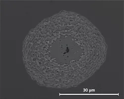 FIGURE 1. A scanning electron microscope image shows a damage site on a highly reflective multilayer coating that was subject to multiple 500 fs irradiations at 1030 nm. After initiation by a coating defect (that was located at the center of the image), the damage grew under successive irradiations until all the layers of the coatings had been removed. FIGURE 1. A scanning electron microscope image shows a damage site on a highly reflective multilayer coating that was subject to multiple 500 fs irradiations at 1030 nm. After initiation by a coating defect (that was located at the center of the image), the damage grew under successive irradiations until all the layers of the coatings had been removed.