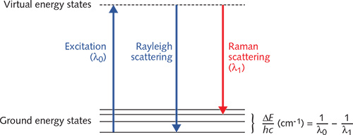 FIGURE 1. Rayleigh and Raman scattering differ in terms of associated energy states resulting from light-tissue interaction. Laser light excites a molecule to what is referred to as a virtual energy state. Raman scattering results when light is scattered at a different wavelength than the excitation wavelength, indicating a change in energy (&Delta;E) between the excitation and scattered light. The change in energy is typically expressed in relative wavenumbers (cm-1). Planck's constant and the speed of light are represented by the symbols h and c, respectively.