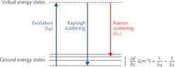 FIGURE 1. Rayleigh and Raman scattering differ in terms of associated energy states resulting from light-tissue interaction. Laser light excites a molecule to what is referred to as a virtual energy state. Raman scattering results when light is scattered at a different wavelength than the excitation wavelength, indicating a change in energy (ΔE) between the excitation and scattered light. The change in energy is typically expressed in relative wavenumbers (cm-1). Planck's constant and the speed of light are represented by the symbols h and c, respectively. FIGURE 1. Rayleigh and Raman scattering differ in terms of associated energy states resulting from light-tissue interaction. Laser light excites a molecule to what is referred to as a virtual energy state. Raman scattering results when light is scattered at a different wavelength than the excitation wavelength, indicating a change in energy (ΔE) between the excitation and scattered light. The change in energy is typically expressed in relative wavenumbers (cm-1). Planck's constant and the speed of light are represented by the symbols h and c, respectively.